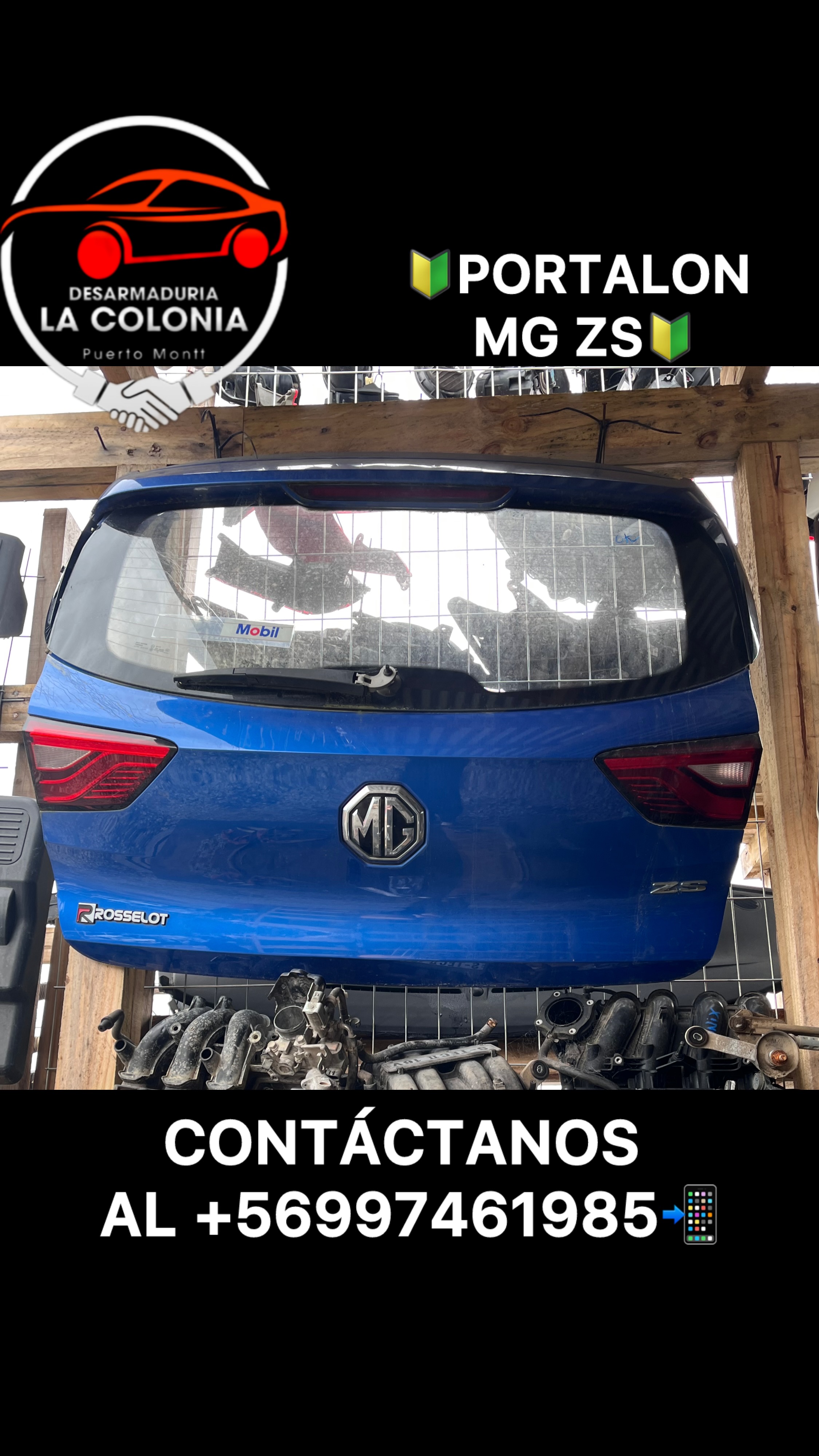 Portalón MG ZS
