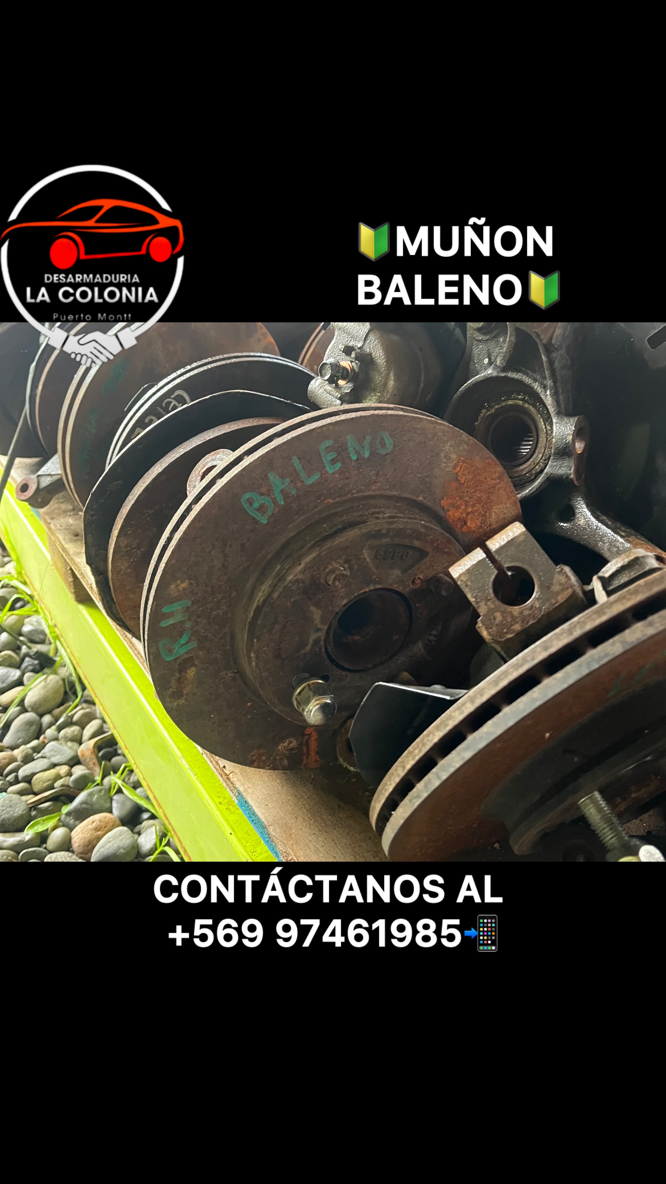 Muñon baleno rh