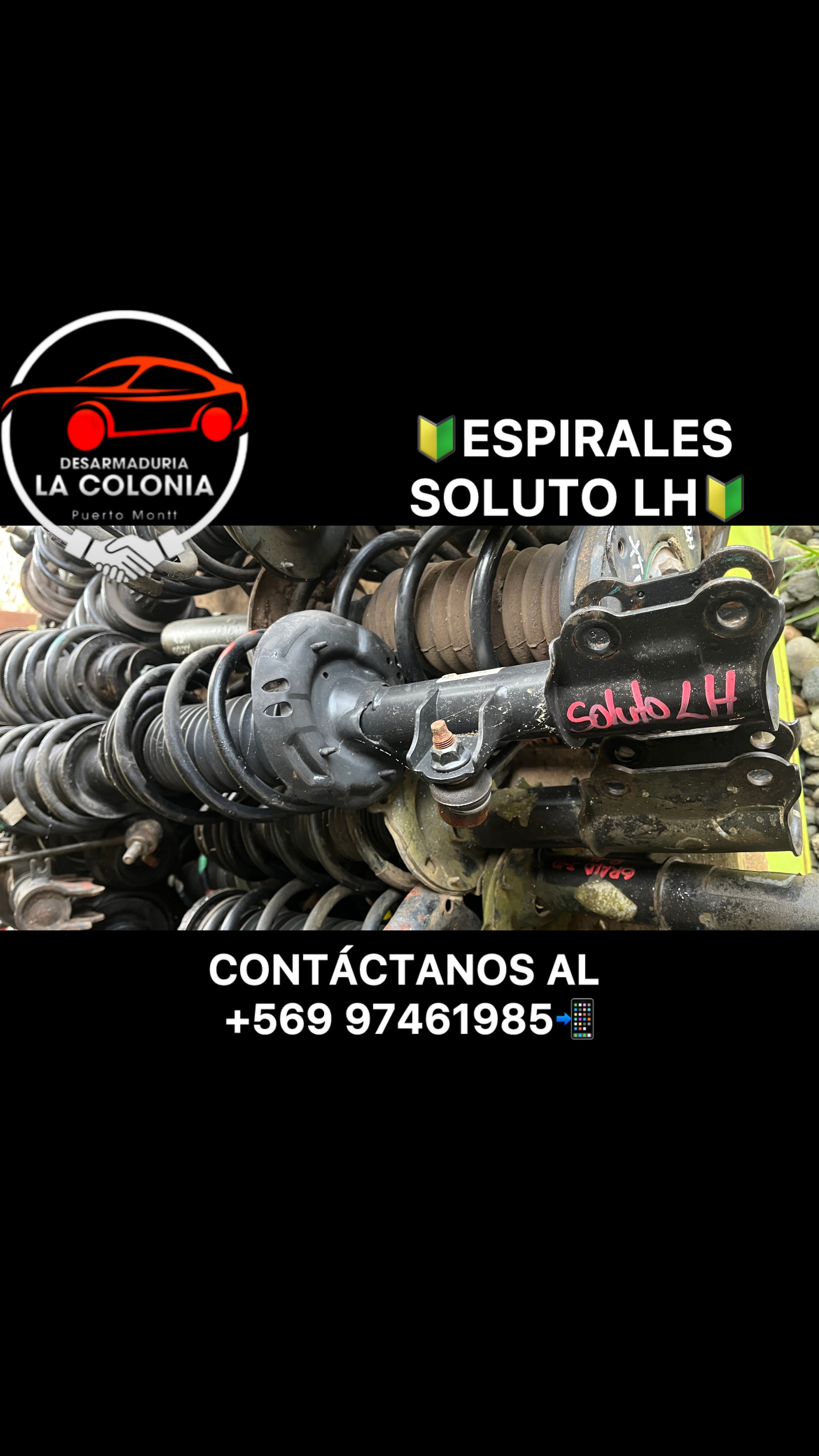 Espirales soluto lh