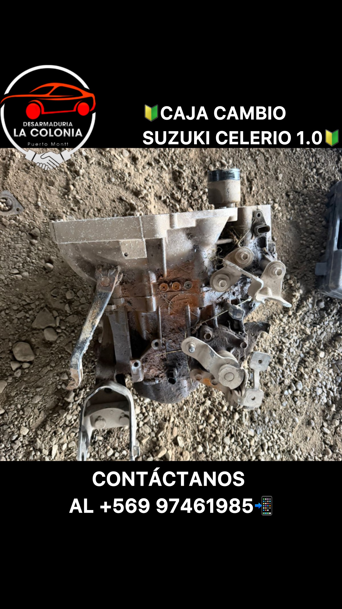 Caja cambio Suzuki celerio