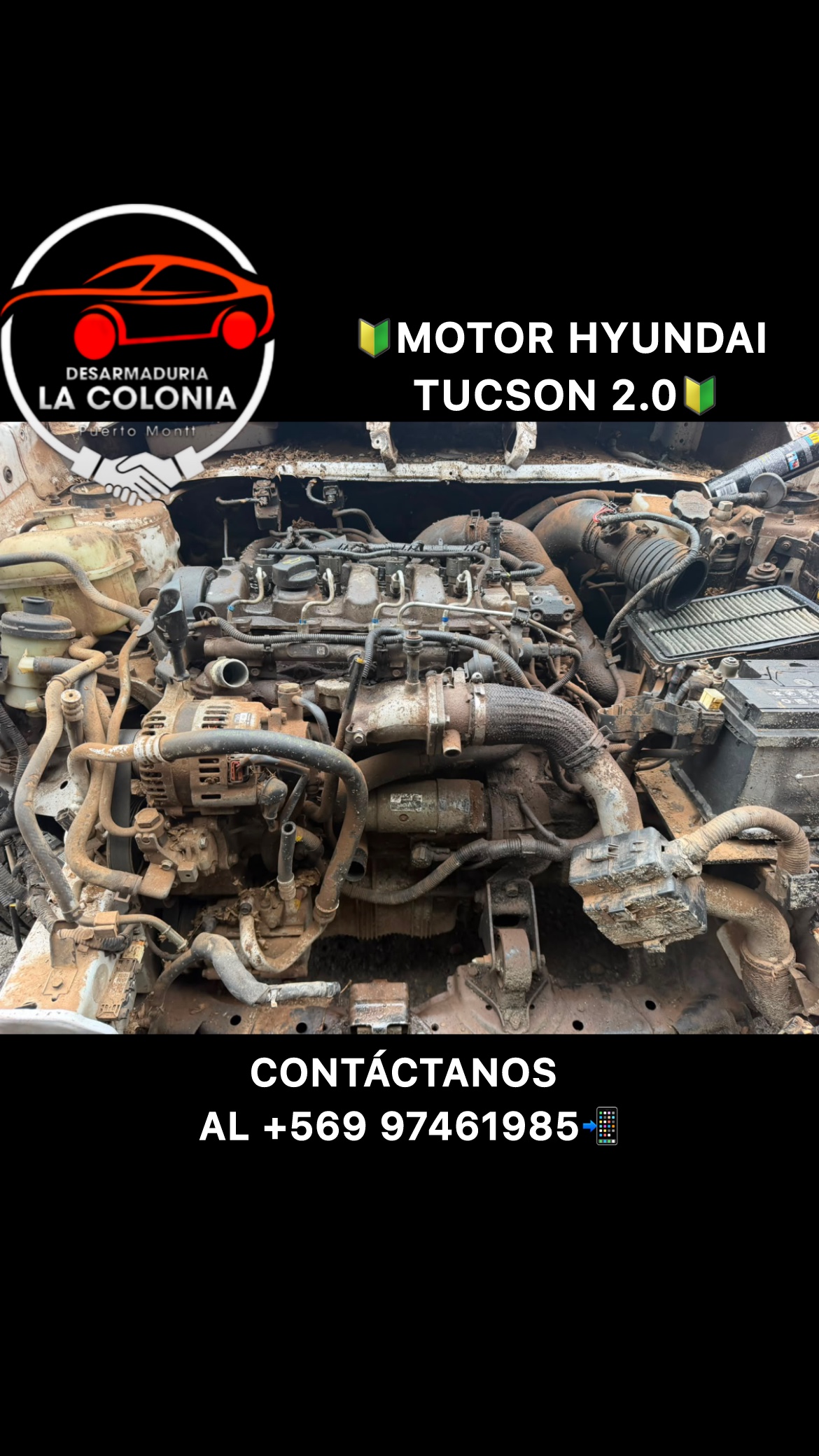 Motor tucson 2.0