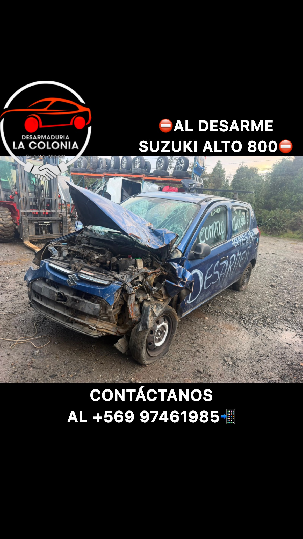Suzuki alto 800
