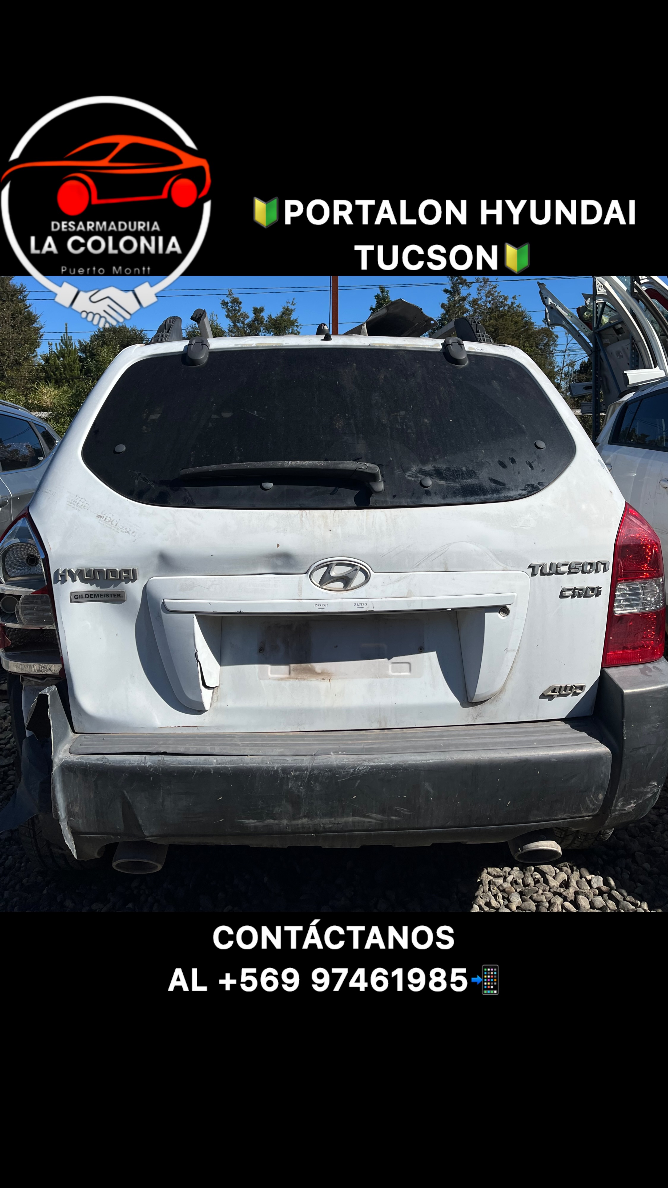 Portalon Hyundai tucson